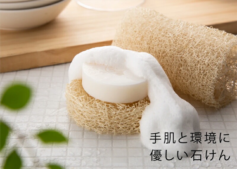 食器用石鹸 へちまここち 無添加 食器洗い用へちま石けん 50g オーガニック 正規品 敏感肌 天然 ナチュラル ノンケミカル 自然 無農薬 へちま