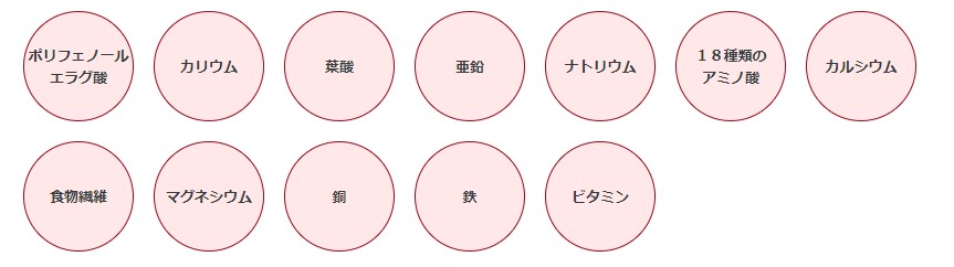 ザクロ ニニ 熟成発酵ザクロペースト（30包入） 保存料 無添加 無農薬 正規品   ノンケミカル 自然 美人肌 Organic nini デーツ スーパーフルーツ ミネラル ビタミン アミノ酸