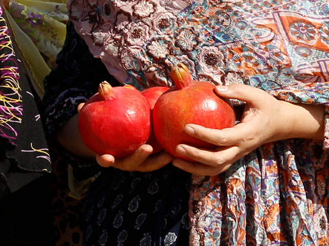ザクロ ニニ 熟成発酵ザクロペースト（30包入） 保存料 無添加 無農薬 正規品   ノンケミカル 自然 美人肌 Organic nini デーツ スーパーフルーツ ミネラル ビタミン アミノ酸