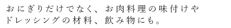 ねり梅 ムソー 無双本舗 国産ねり梅 100g チューブタイプ 正規品   保存料 無添加   梅肉 奈良県産 和歌山県産