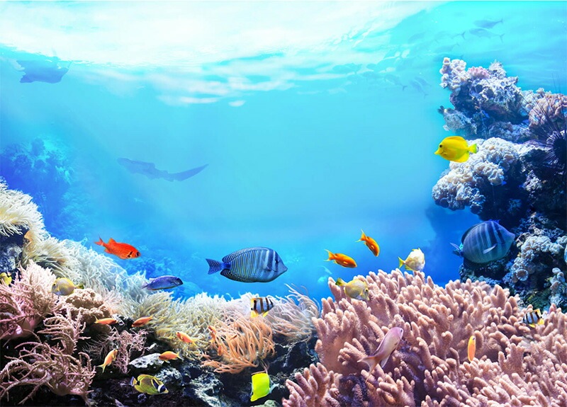 日焼け止め 紫外線予報 ノンケミカル UVクリーム M 40g クリーム 無添加 オーガニック 正規品 天然 ナチュラル ノンケミカル 日焼け止めクリーム UVクリーム