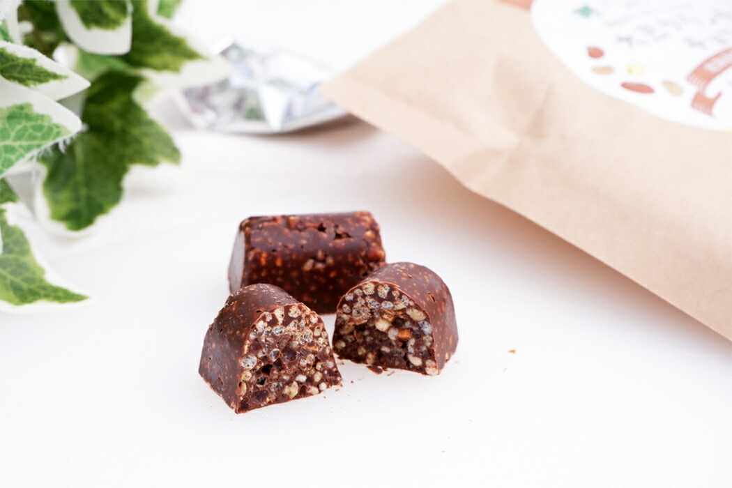 クランチチョコ マルシマ 国産オーガニック大豆の大豆クランチチョコ 56g（10個入） 正規品 国内産 保存料 無添加 オーガニック 無農薬 有機   純正食品マルシマ