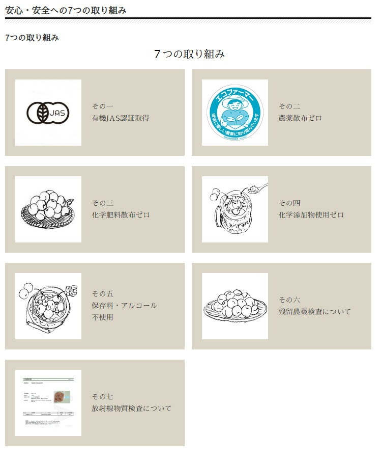練り梅 深見梅店 保存料 無添加 オーガニックねり梅 110ｇ 正規品 国内産   保存料 無添加   オーガニック 有機JAS ヴィーガン やさしい梅屋さん