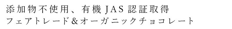 チョコレート オーガニック 第３世界ショップ Artisan フェアトレード チョコレート 40g 正規品 保存料 無添加   ノンケミカル 自然 アーティザン 有機チョコレート 第三世界ショップ