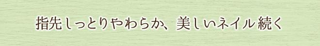アンドネイル オーガニックブレンドオイル 10ml 甘皮用オイル オーガニック 無添加 正規品 ネイルケア キューティクルオイル 天然 ナチュラル ノンケミカル 自然 石澤研究所 ネイルオイル