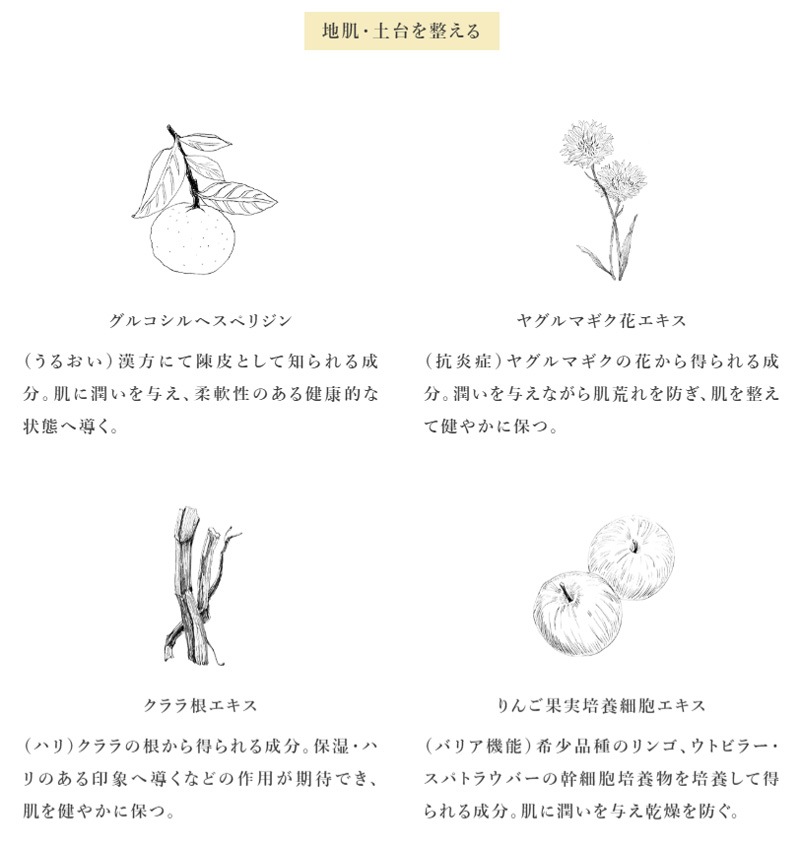 オールインワンシャンプー SENN セン アロマリトリート スカルプトリートメントシャンプー 400g 実 木陰 正規品 天然 ナチュラル ノンシリコン 1本で8役 トリートメント不要 スカルプケア ヘアケア アロマ香る リラックス 人工香料不使用 天然精油