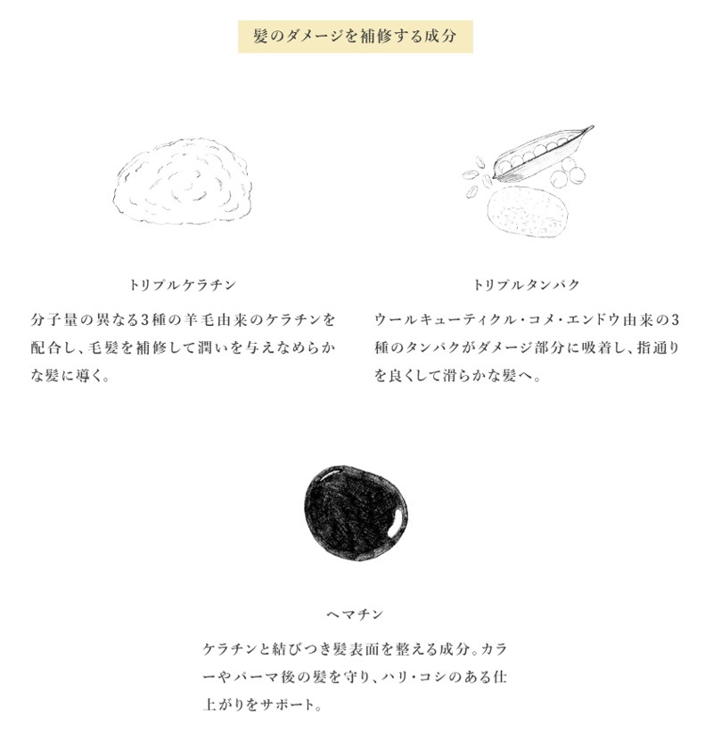 オールインワンシャンプー SENN セン アロマリトリート スカルプトリートメントシャンプー 400g 実 木陰 正規品 天然 ナチュラル ノンシリコン 1本で8役 トリートメント不要 スカルプケア ヘアケア アロマ香る リラックス 人工香料不使用 天然精油