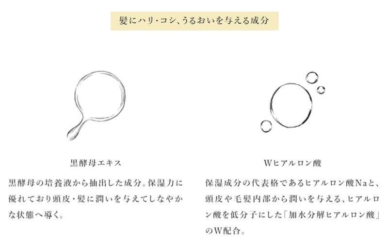 オールインワンシャンプー SENN セン アロマリトリート スカルプトリートメントシャンプー 400g 実 木陰 正規品 天然 ナチュラル ノンシリコン 1本で8役 トリートメント不要 スカルプケア ヘアケア アロマ香る リラックス 人工香料不使用 天然精油