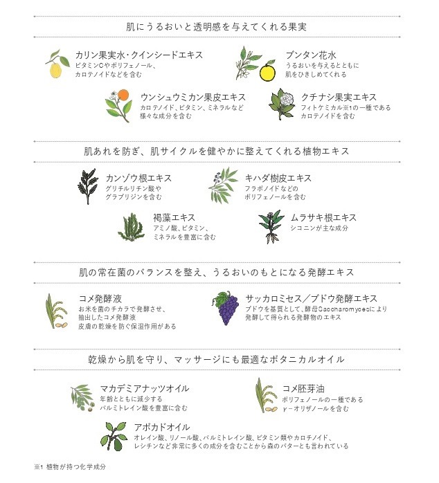 マッサージ用美容液 ブルーメエデナ リバイタライジングナチュラルセラム 30mL オーガニック 日本製 無添加 正規品 ボディケア ハンドケア 首筋ケア ノンケミカル 保湿 BLUME edena