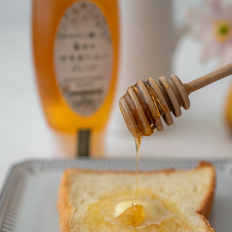 蜂蜜 my Honey からだに優しい毎日のマヌカハニーブレンド 500g 正規品 ハンガリー産 アカシアハニー ニュージーランド産 マヌカハニー 天然由来 食物繊維 はちみつ のどケア 健康サポート マイハニー