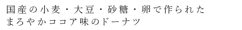 豆腐ドーナツ 創健社  おとうふ工房いしかわ おとうふやさんがつくった とうふドーナツ ココア味 4個 正規品 保存料無添加 乳成分不使用 おやつ 豆腐スイーツ 優しい甘さ 絹ごし豆腐 国産大豆 国産小麦