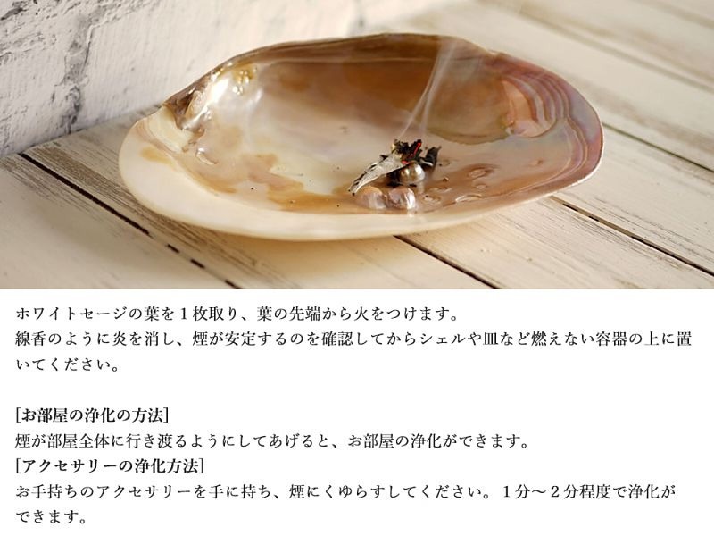 ホワイトセージ ルカス LUCAS エクストラ・ホワイトセージ 10g 枝つき葉 空間浄化 ヨガ 瞑想 マインドフルネス リラックス オーガニックホワイトセージ カリフォルニア直輸入 アクセサリーの浄化 農薬不使用 USDA 米国農務省 カリフォルニア認定オーガニック農家