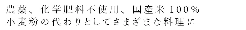 米粉 保存料 無添加 オーサワジャパン オーサワの国産米粉 200g 正規品 国内産 無農薬 化学肥料不使用