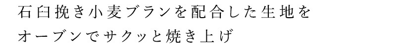 ビスケット 大地のおやつ 3じのビスケット 140g 正規品 国内産 保存料 無添加   遺伝子組み換え原料不使用 自然 山本佐太郎商店