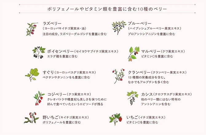 フェイスクリーム ブルーメエデナ ベリーベリーオイルリッチフェイスクリーム 40g オーガニック 無添加 正規品 スキンケア ノンケミカル