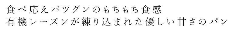 長期保存パン ノースカラーズ オーガニック小麦のもっちりパン レーズン 1個 82g オーガニック 動物性原料不使用 正規品 国内産 保存料 無添加  NorthColors 常温保存可能 ヴィーガン