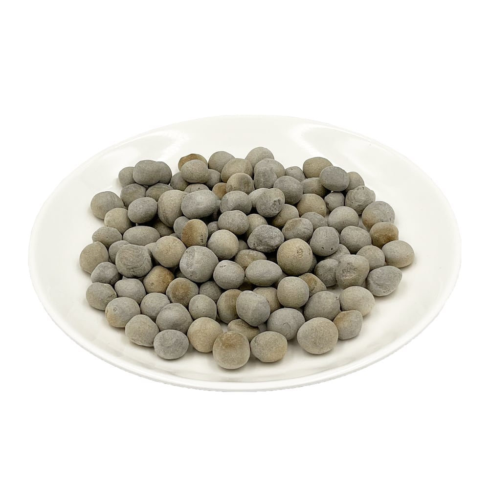 ドッグフード 無添加 ヘルシーアニマルズ 北海道 炭クッキー【犬用】 30g 無添加 無着色 植物発酵酵素 たもぎ茸配合 犬用おやつ オーガニック 無添加 正規品 天然 ナチュラル 自然 北海道