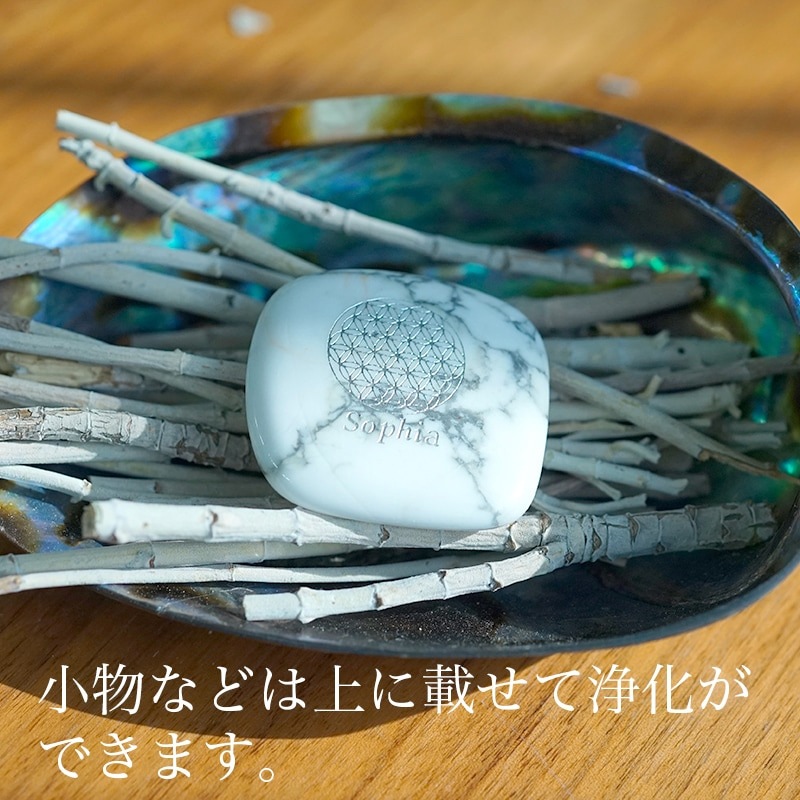 セージ ルカス LUCAS エクストラ・ホワイトセージ 枝 30g 正規品 枝つき葉 空間浄化 ヨガ 瞑想 マインドフルネス リラックス オーガニックホワイトセージ カリフォルニア産 アクセサリーの浄化 農薬不使用 USDA カリフォルニア認定オーガニック農家
