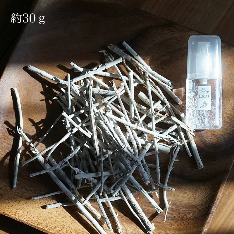 セージ ルカス LUCAS エクストラ・ホワイトセージ 枝 30g 正規品 枝つき葉 空間浄化 ヨガ 瞑想 マインドフルネス リラックス オーガニックホワイトセージ カリフォルニア産 アクセサリーの浄化 農薬不使用 USDA カリフォルニア認定オーガニック農家