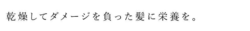 シャンプー コスリス ドライ＆ダメージヘアシャンプー 250ml オーガニック ナチュラル ヴィーガン 自然 ヘアケア 天然 COSLYS アロエベラ 乾燥 ダメージ