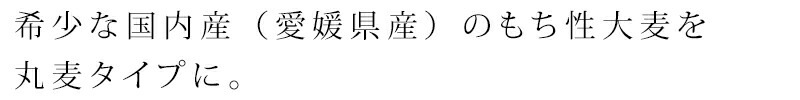 もち麦 創健社 愛媛県産もち麦 300ｇ 正規品    保存料 無添加