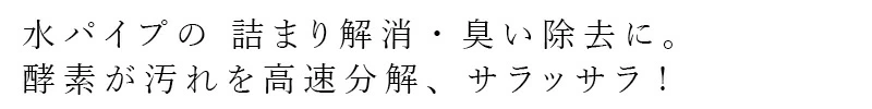 排水口 パイプクリーナー アンブロッカー 詰まり解消用 ミント 1000ml 液性 中性 購入金額別特典あり 無添加 正規品  サスナブル サスティナブル エコ 天然 ナチュラル ノンケミカル 自然 eezym