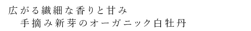 白茶 ゾネントア sonnentor 有機白茶 1gｘ18袋 白牡丹（パイムータン）種 ハーブティー オーガニック 無農薬 有機 天然 ナチュラル ノンケミカル 自然 EUビオ 有機JAS 繊細な甘味