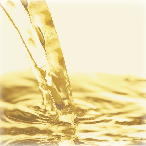 ビネガー メンガツォーリ アップルサイダービネガー（マザー入り） 250ml 正規品 オーガニック 有機   保存料 無添加