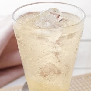 飲む酢 メンガツォーリ アップルサイダービネガー（マザー入り） 500ml 約30杯分 りんご酢 正規品 オーガニック 有機JAS EUbio ヴィーガン 酢酸菌 無濾過・非加熱 保存料 無添加 Mengazzoli