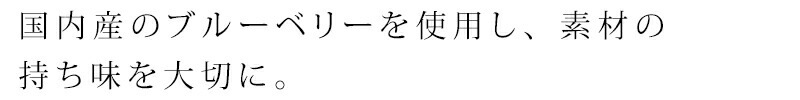 ジャム 創健社ブルーベリージャム 200g 正規品   保存料 無添加