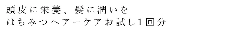 ヘアケアお試し ジャポンミエル オーガニックはちみつシャンプー&トリートメント（サシェ1回分）各10ml 購入金額別特典あり アミノ酸系 ヘアケア ナチュラル ノンケミカル シリコン 天然 自然 japonmiel さらさら ツヤ まとまり