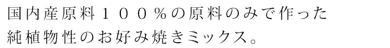 お好み焼き粉 創健社 山芋入りお好み焼きミックス 200g 正規品    保存料 無添加