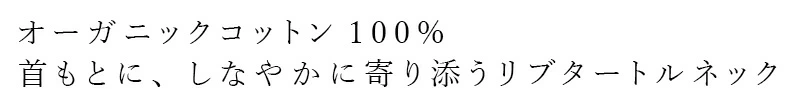 タートルネックシャツ オーガニックコットン 天衣無縫 コットンリブ タートルネックＮ オーガニック 正規品 無農薬 ノンケミカル てんいむほう