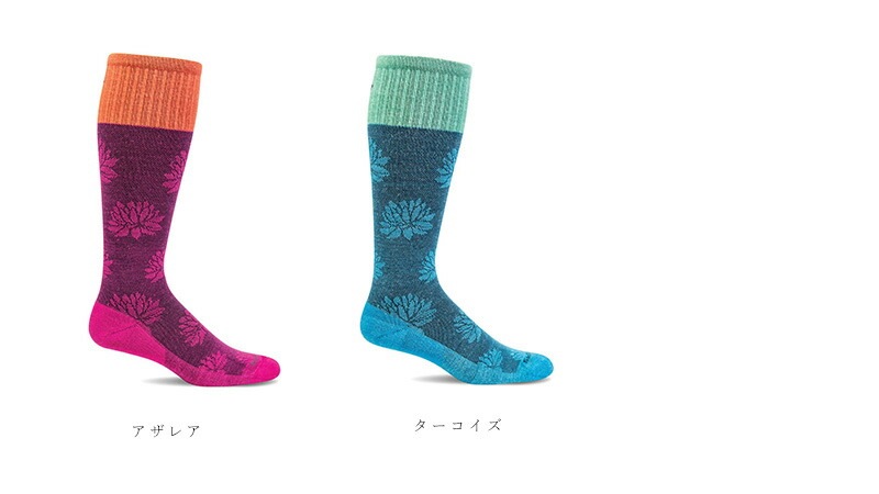 ソックウェル ロータスリフト レディース 着圧ソックス 靴下 Lotus Lift Ladies 正規品 レギュラー ソックス メリノウール