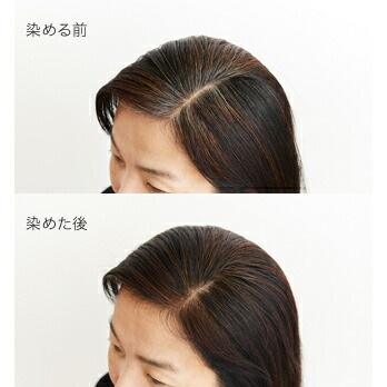 白髪染め 無添加 ナイアード ヘナ＋木藍（茶） 400g オーガニック 正規品 ヘアケア 全体染め ノンシリコン 天然 ナチュラル ノンケミカル 自然  ノンジアミン 自宅
