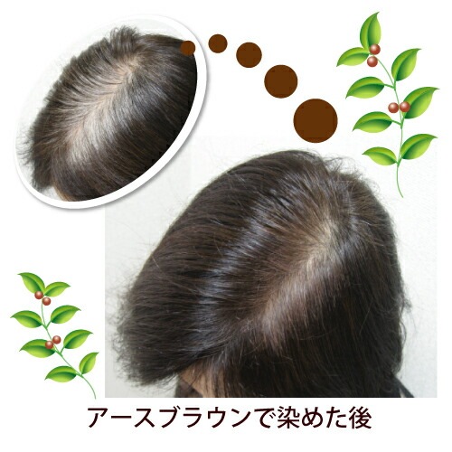 白髪染め オーガニック グリーンノート ヘナ オーガニータ アースブラウン 100g 無添加 正規品 トリートメント ヘアケア 白髪 ヘンナ 天然 ナチュラル ノンケミカル 自然 ノンジアミン 自宅