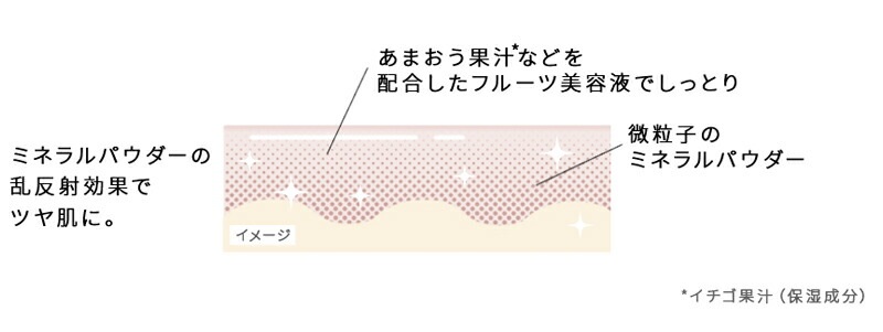 ファンデーション アクア・アクア オーガニッククッションコンパクト スペシャルセット ケース付き SPF35 PA+++  無添加 オーガニック 正規品 クッション ファンデ AQUA AQUA ナチュラル ノンケミカル アクアアクア