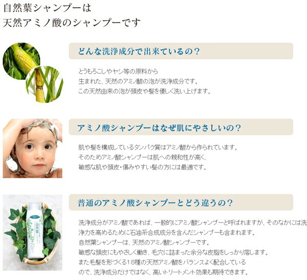 シャンプー ノンシリコン グリーンノート 自然葉シャンプー 無香料 300ml ヘアケア 低刺激 リンス不要 リンスイン 天然 ナチュラル ノンケミカル 自然