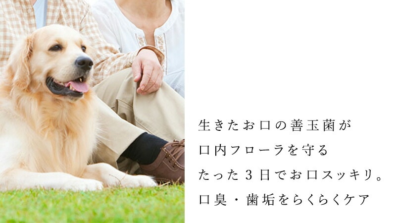 ペット用口腔ケアタブレット プロバイオデンタル ペット 60粒 正規品 国内産 ナチュラル 天然 保存料不使用 善玉菌 口内フローラ 口臭ケア エチケット 犬 歯磨き
