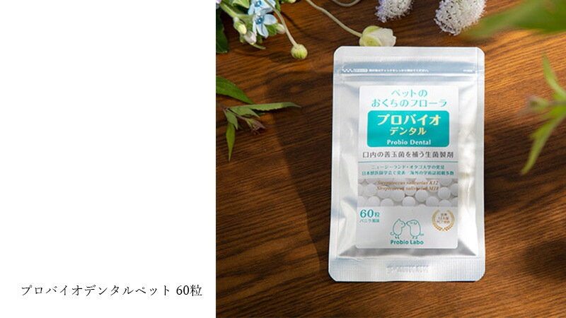 ペット用口腔ケアタブレット プロバイオデンタル ペット 60粒 正規品 国内産 ナチュラル 天然 保存料不使用 善玉菌 口内フローラ 口臭ケア エチケット 犬 歯磨き