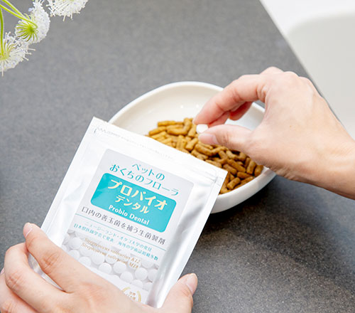 ペット用口腔ケアタブレット プロバイオデンタル ペット 60粒 正規品 国内産 ナチュラル 天然 保存料不使用 善玉菌 口内フローラ 口臭ケア エチケット 犬 歯磨き