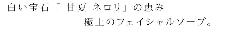 石鹸 無添加 MOONSOAP ムーンソープ 甘夏ネロリ石けん 100g オーガニック 正規品 石けん(顔・あたま・髪・からだ用) ) 石けん 洗顔料 洗顔石けん 天然 ナチュラル ノンケミカル 自然