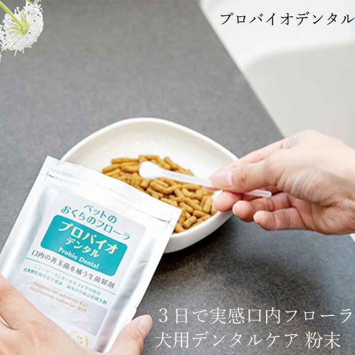 ペット用口腔ケアパウダー プロバイオデンタル パウダー ペット 9.8g 正規品 国内産 ナチュラル 天然 保存料不使用 善玉菌 口内フローラ 口臭ケア エチケット 犬 歯磨き