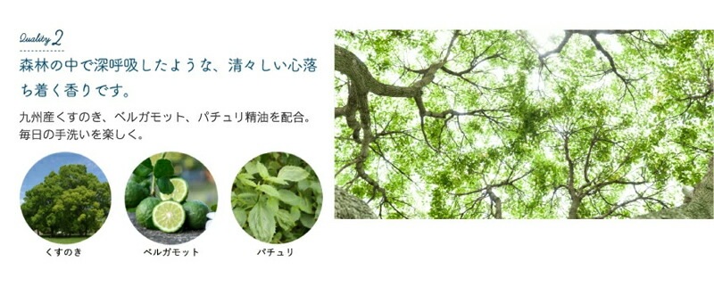 ハンドソープ クスハンドメイド くすのきアロマ ハンドソープ 280ml 正規品 無添加 ナチュラル ノンケミカル KUSU HANDMADE クスハンドメイド パチュリ油 ベルガモット油