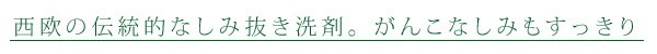 しみ抜き オーガニック ソネット sonett ゴールソープバー 100g×2個セット 石鹸 無添加 正規品 洗剤 自然 しみ 血 泥 しみ抜き 天然 ナチュラル ノンケミカル