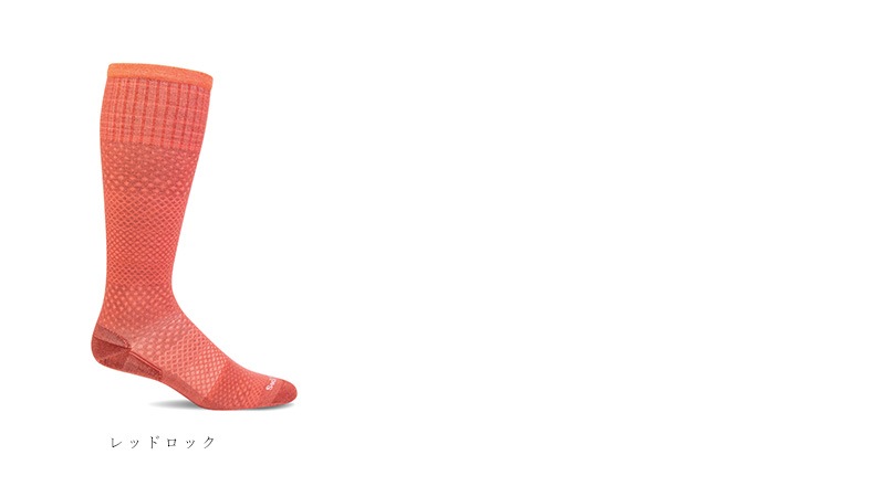 ソックウェル マイクログレード レディース 着圧ソックス 靴下 Sockwell Micro Grade 正規品 レギュラー ソックス メリノウール
