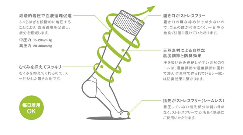 ソックウェル マイクログレード レディース 着圧ソックス 靴下 Sockwell Micro Grade 正規品 レギュラー ソックス メリノウール