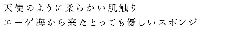 ボディ用スポンジ グリーンノート 天然海綿スポンジ ボディ用 正規品 保存料不使用 天然 ナチュラル GREEN NOTE スポンジ