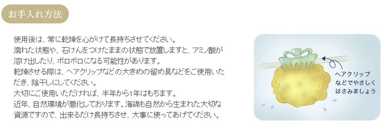 ボディ用スポンジ グリーンノート 天然海綿スポンジ ボディ用 正規品 保存料不使用 天然 ナチュラル GREEN NOTE スポンジ
