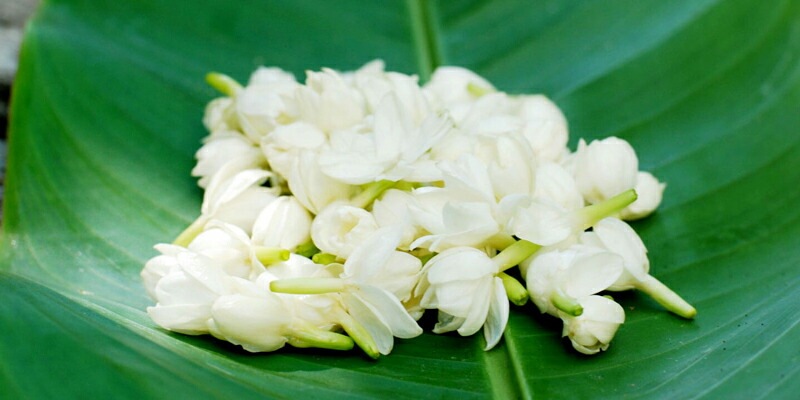 トリートメント 無添加 MOONSOAP ムーンソープ クロミツヘアパック ロイヤルジャスミン 220g ヘアパック オーガニック 正規品 ヘアケア ノンシリコン 低刺激 アウトバストリートメント ノンケミカル